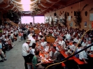2009_05_Gauschuetzenfest_Medlingen_19
